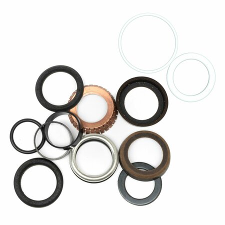 BEDFORD PRECISION PARTS Bedford Precision Repair Kit for 5:1 Monark - Replacement for Graco 208519 20-774
